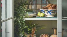 a sage green display cabinet with plaid plates and bowls with houseplants
