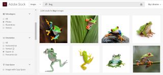 Search results for 'frog' on Adobe Stock. filtered to only square images