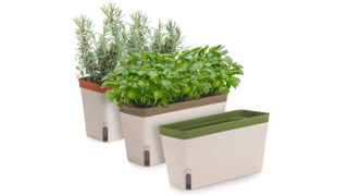 Amazing Creation Windowsill Herb Planter Boxes