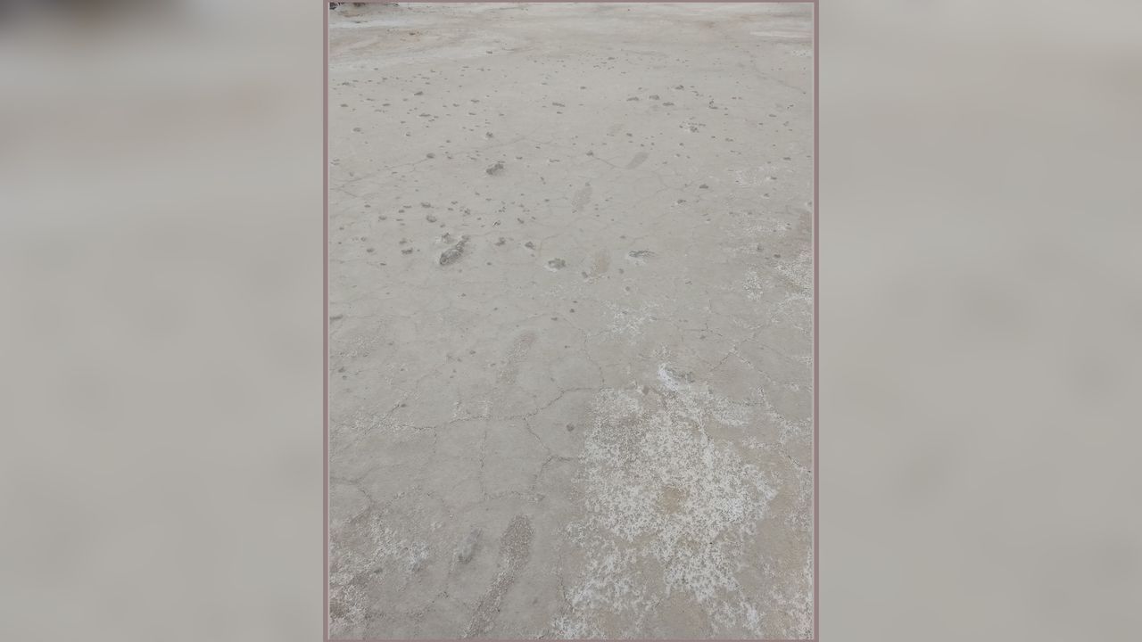 The prehistoric journey may have taken place as long as 13,000 years ago. The adult footprints likely belong to a woman, or possibly a teenage boy. The person was traveling at a quick pace in a straight line, and seems to have dropped off the toddler child at the destination before following his or her own footprints back to the origin of the trip.