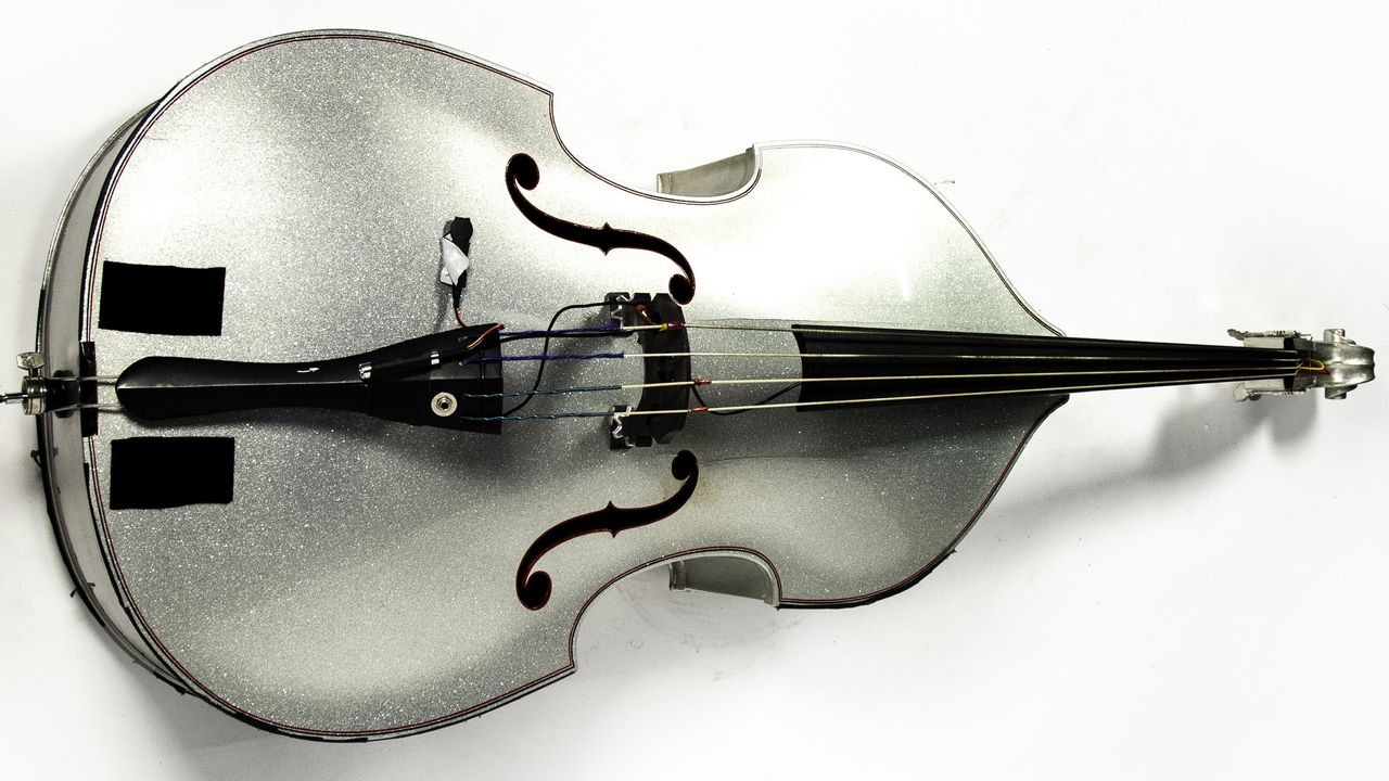 Silver Sparkle upright bass