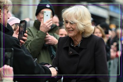 Camilla Queen Consort meeting fans - Camilla Queen Consort set for title change