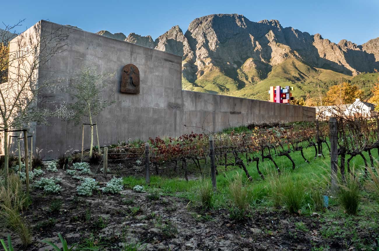 Boekenhoutskloof Cabernet Sauvignon vines