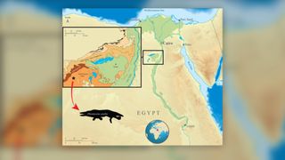 A map detailing the Fayum Depression in Egypt, where paleontologists found the fossil whale.