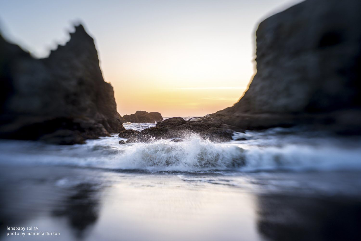 Lensbaby Sol 45 sample image