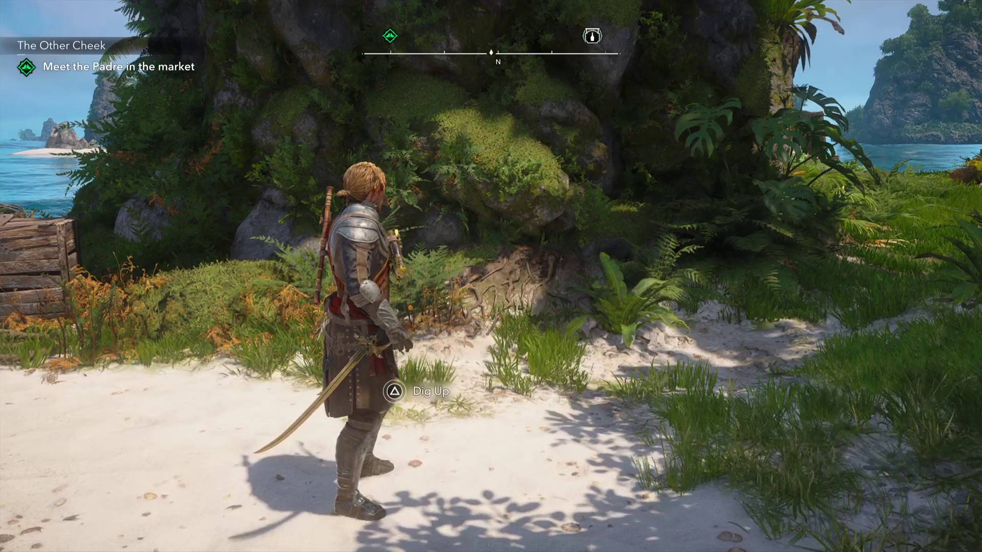 Black Flag Resynced edward standing over Salt Lagoon treasure dig spot