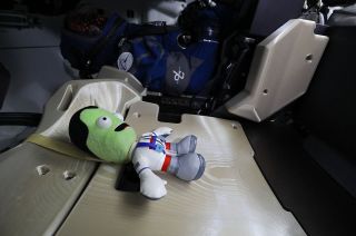 Jeb, an alien from the video game Kerbal Space Program, is seen in plush form on board Boeing's CST-100 Starliner spacecraft as the "zero-g indicator" for the Orbital Flight Test-2 (OFT-2) mission to the International Space Station.