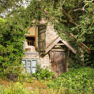 wishbone cottage with wooden door tress and plants