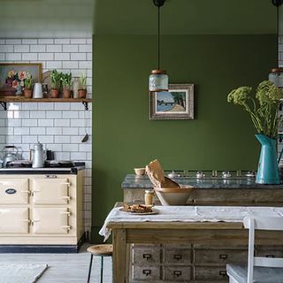 kitchen with green wall and potted plants