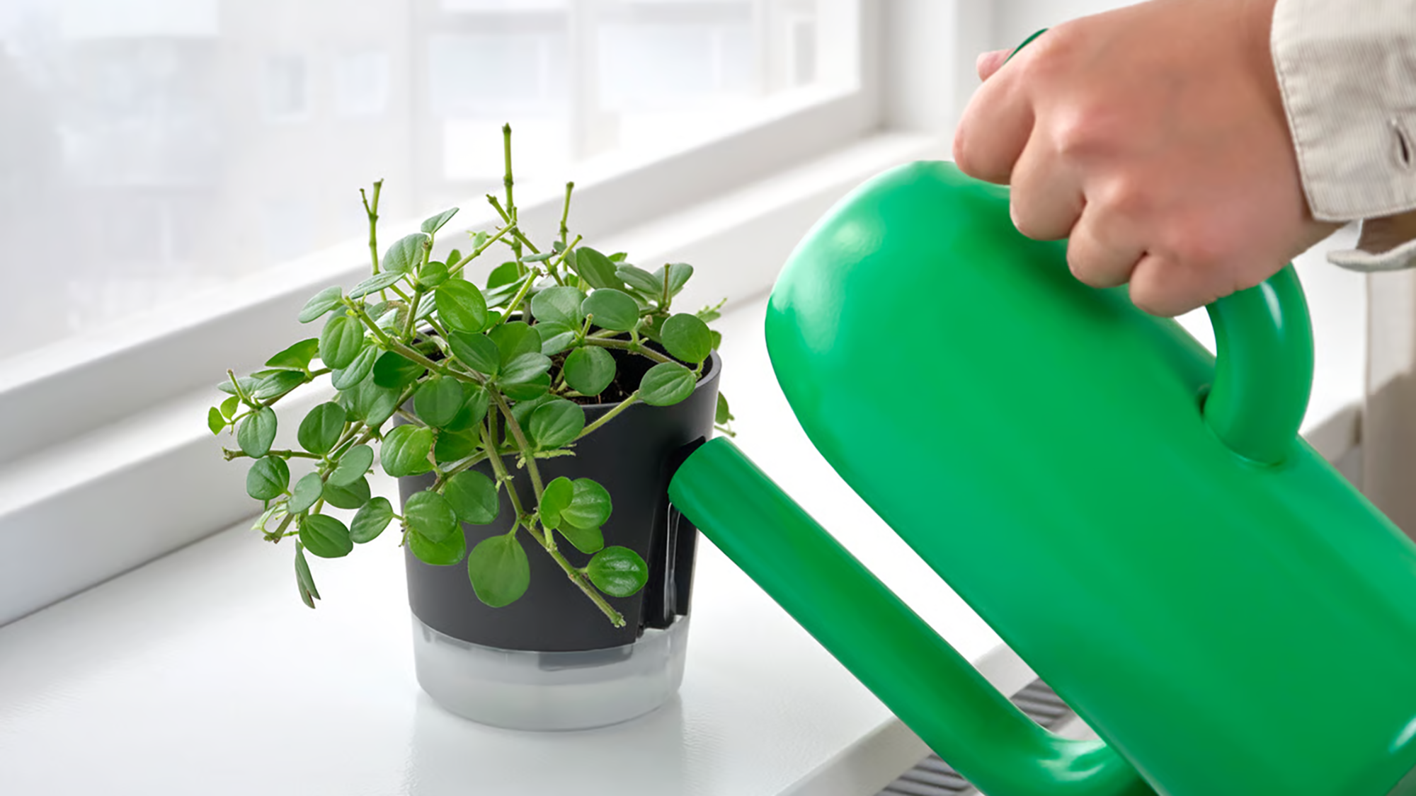 IKEA V&amp;Aring;RDTR&amp;Auml;D self-watering plant pots