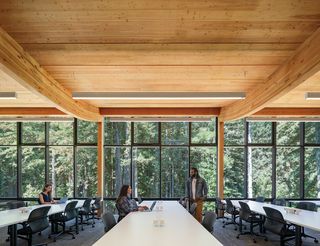 looking out to trees through large windows at Kresge College extension by Studio Gang