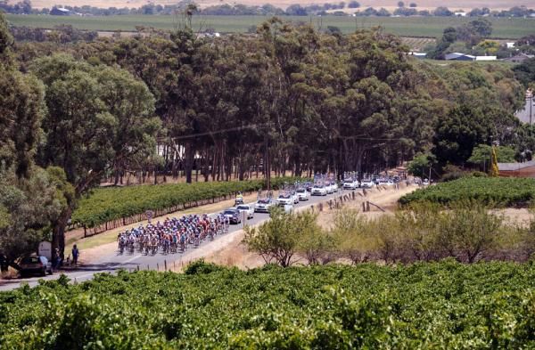 The peloton makes their way through the beautiful scenery of South Australia