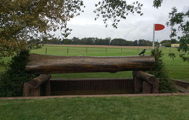 image00052