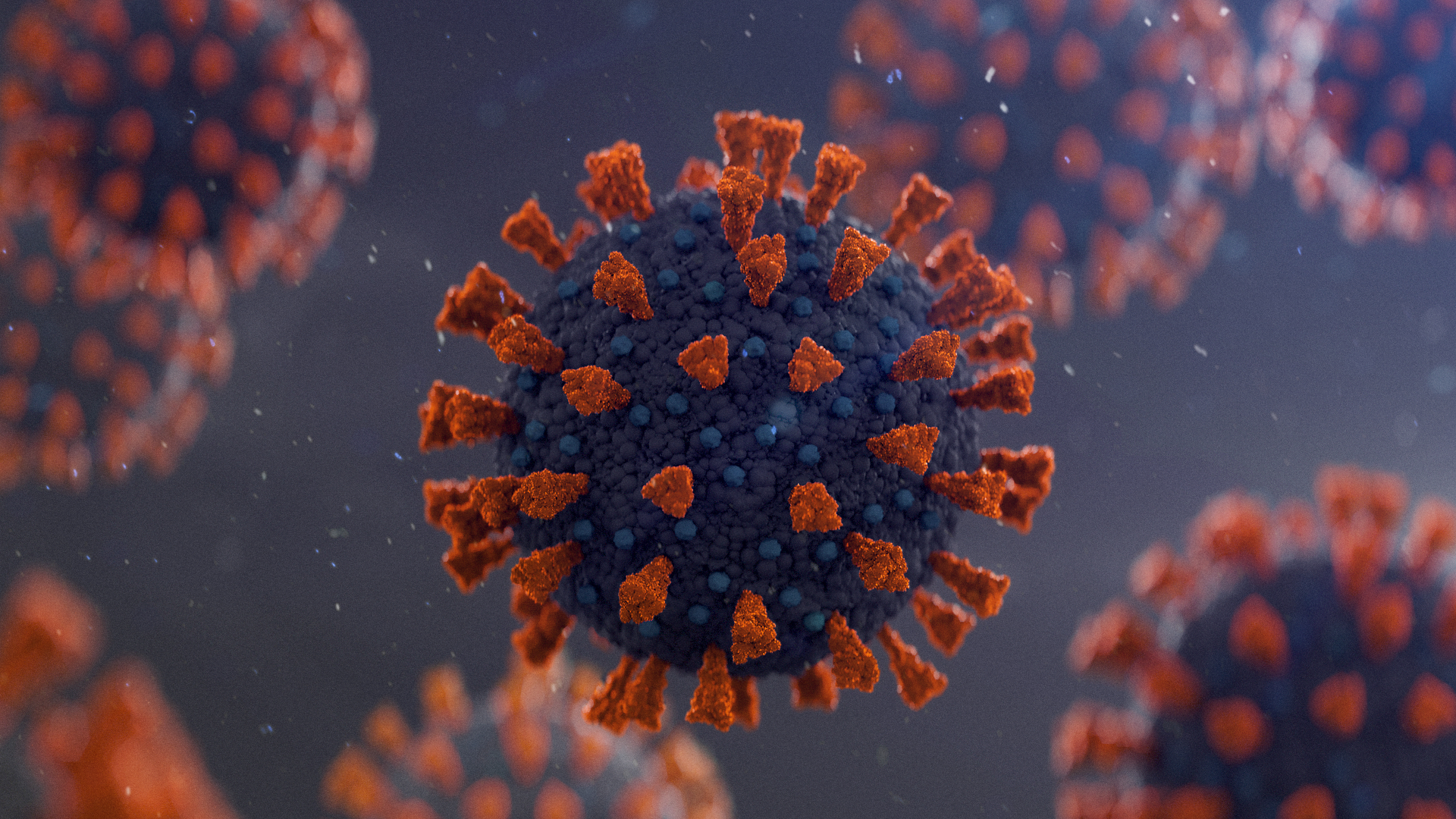 An artist's illustration of the COVID-19 virus