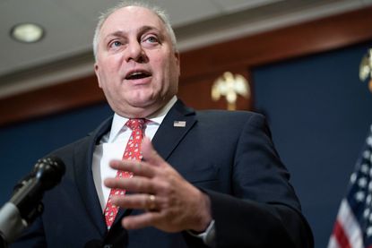 Steve Scalise.