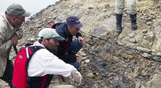 researchers at cretaceous outcrop with dino footprints along yukon river.