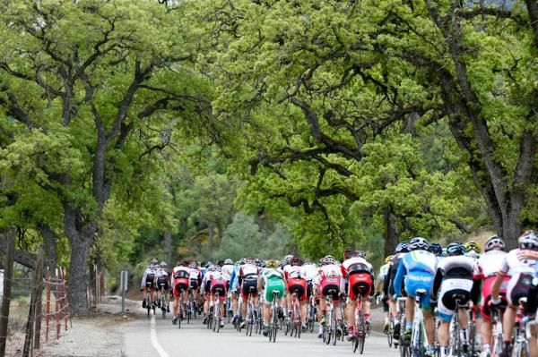 The peloton gets out of the farm lands and into the forest.