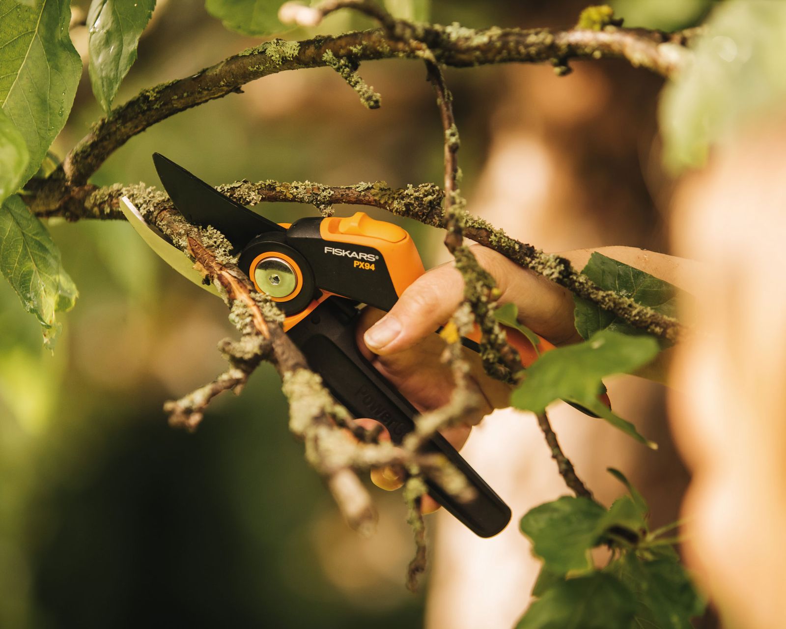 How to clean pruning shears keep them in top condition Gardeningetc