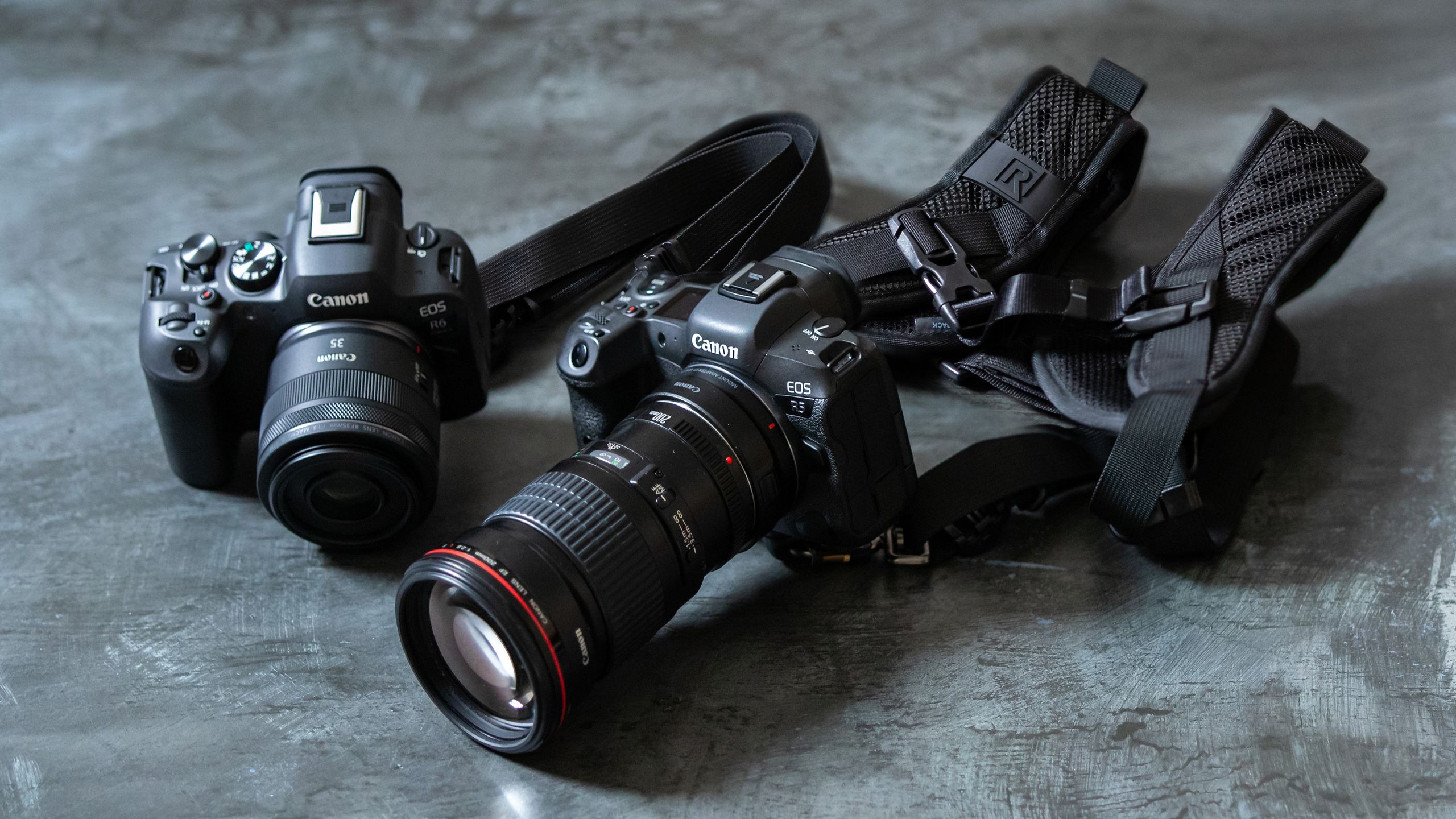 Two cameras are better than one if you are a pro photographer. These ...