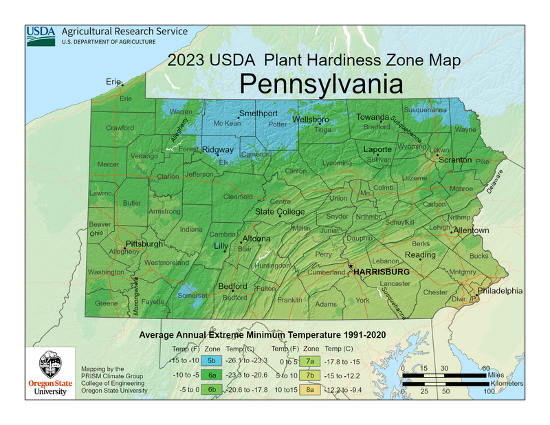 Tips & Information about USDA Planting Zones | Gardening Know How