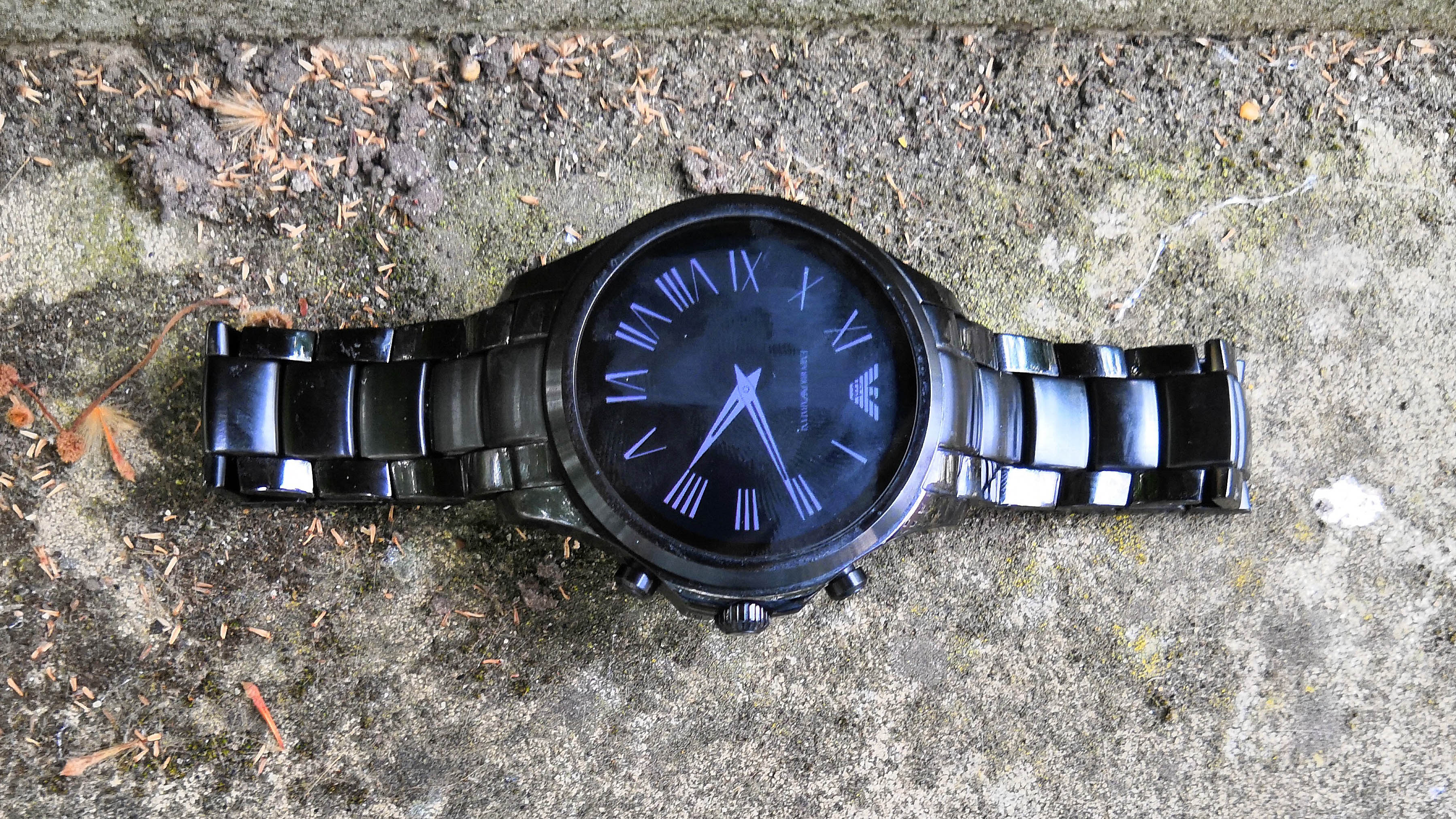 Emporio Armani Connected: strap