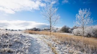 A winter scene in Somerset, England.