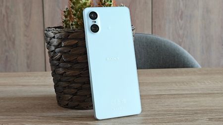 The Sony Xperia 10 VI resting on a plant