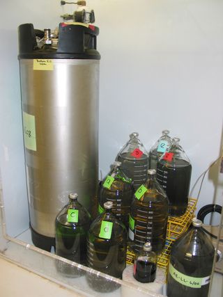 3 sizes of Dhc cultures: 100ml, 1 liter and a 20 liter kegs.