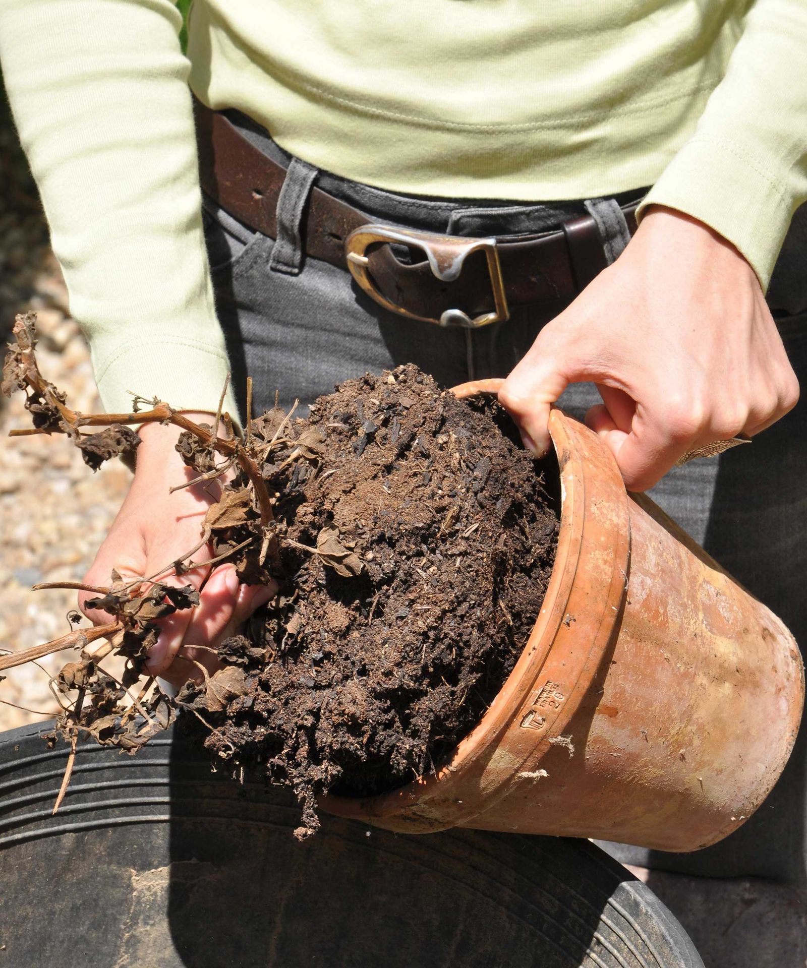 How to clean terracotta pots give your planters a spruce Gardeningetc