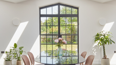 A money tree (R) sits by a window in a modern home