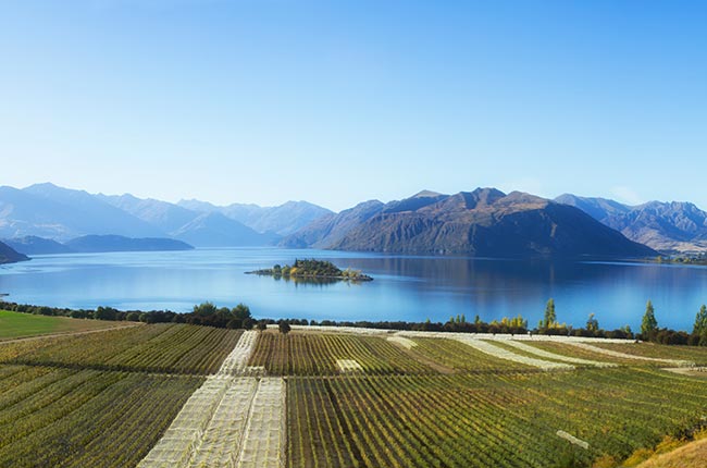 new zealand road trip