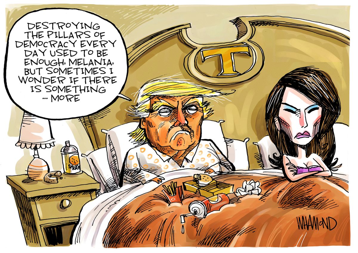 Political Cartoon Us Trump Melania Something More The Week