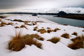 New Zealand, landscapes
