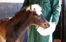Derek-and-milk-300-dpi.jpg