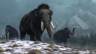 An artist's illustration of woolly mammoths