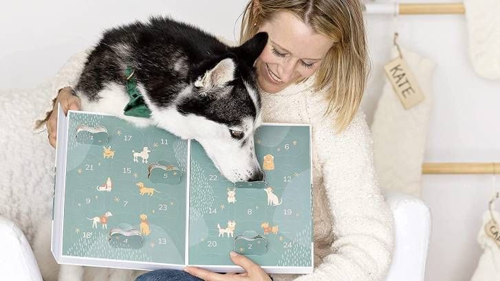 Dog opening one of the best dog advent calendars