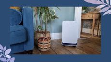 living room with blue velvet sofa and wooden floor with EcoAir DC12 MK3 dehumidifier
