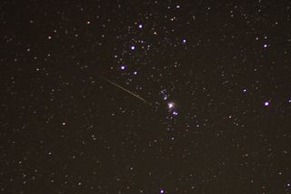 An Orionid meteor streaks across the sky, with the bright three-star belt of the constellation Orion, as well as the Orion nebula (center right) shine in the background.