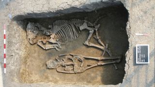 skeletal remains of a man and a horse shown in a deep, rectangular burial site