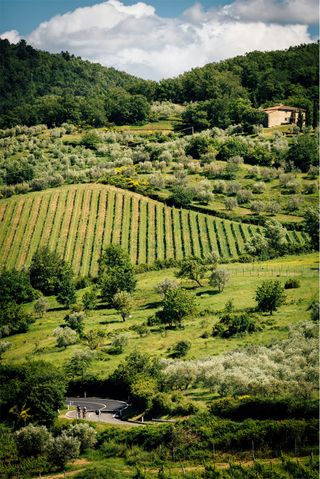 gallo-nero-tuscany-radda-in-chianti-gran-fondo-by-chris-catchpole-4