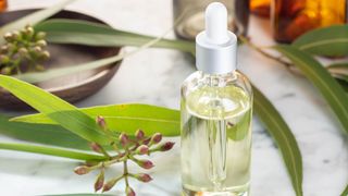 Eucalyptus oil with leaves