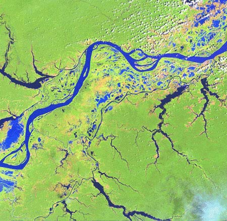 Amazon River Flowed Backwards In Ancient Times Live Science
