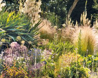 yucca and ornamental grasses in low maintenance flowerbed