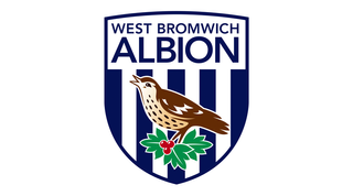 West Bromwich Albion season preview 2023/24: Why Carlos Corberan