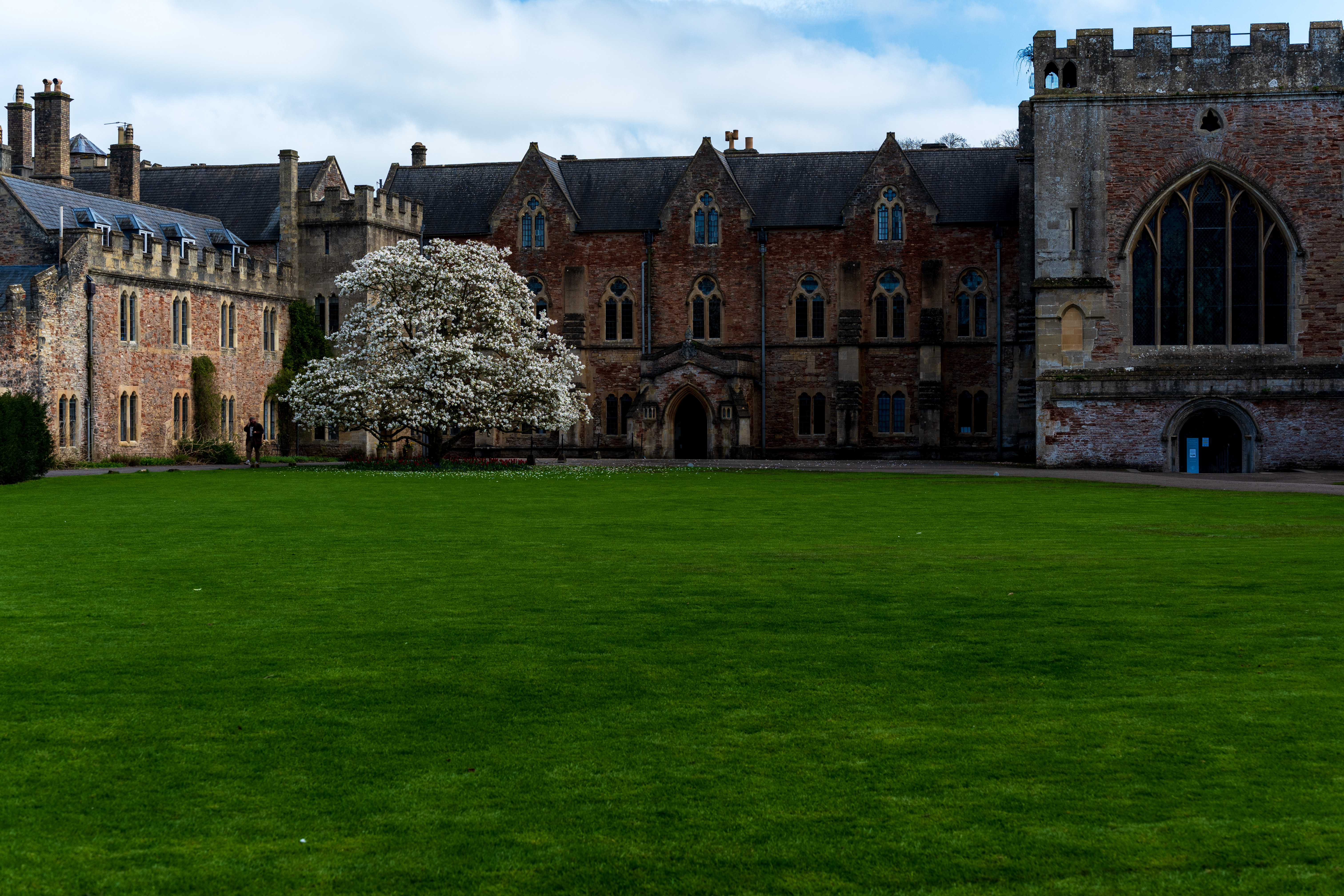 Viltrox AF 55mm f/1.8 Evo sample image