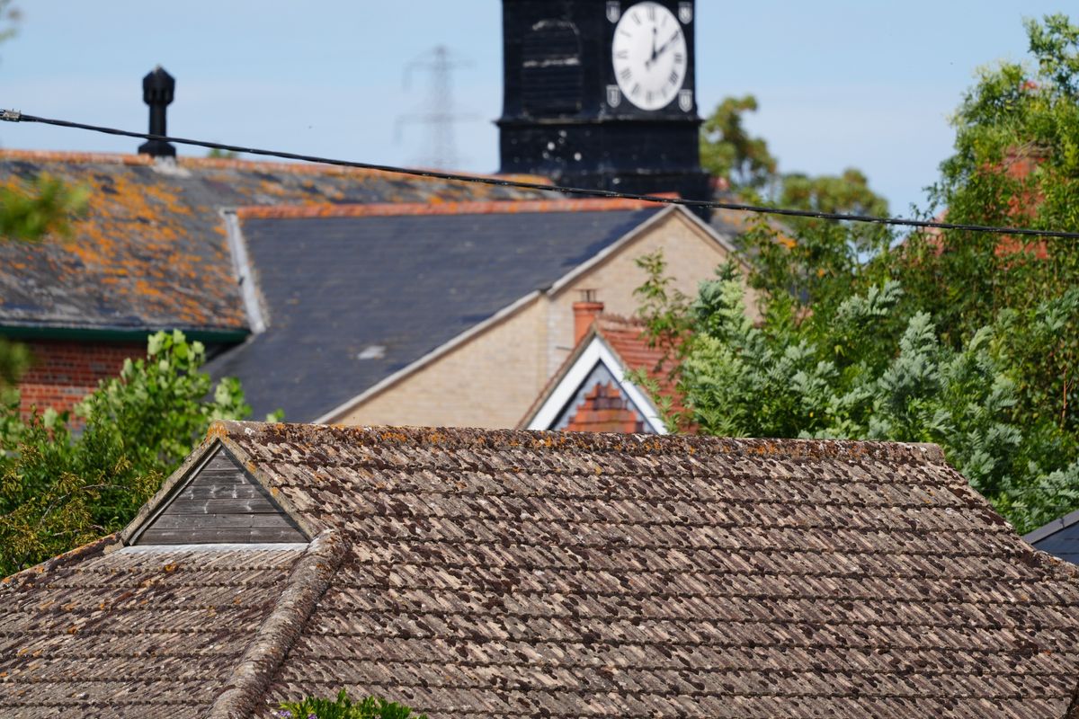 Sony FE 600mm f/6.3 GM OSS sample image