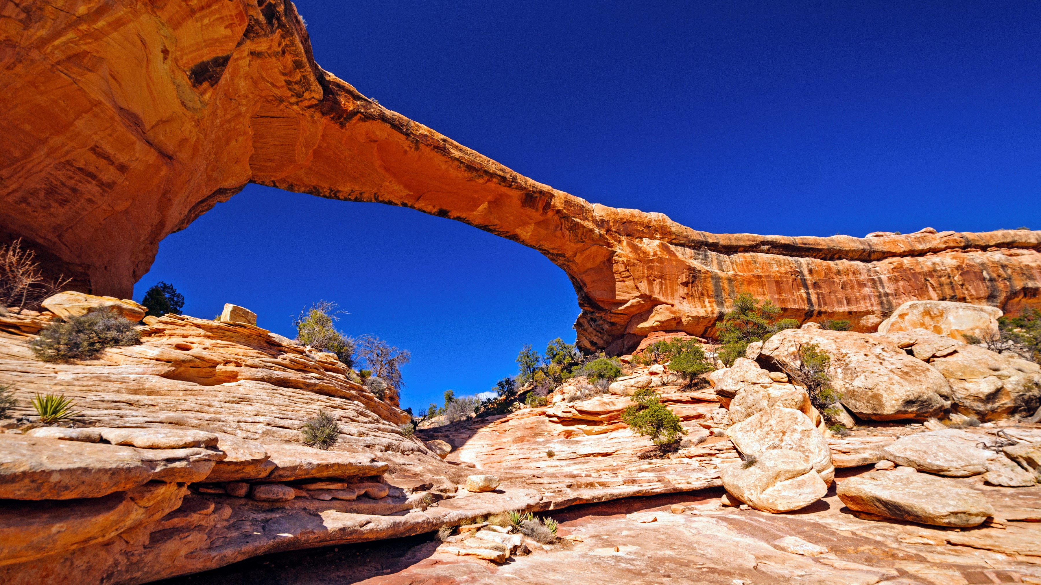 Natural Bridges National Monument, Arizona features this impressive rock 'bridge' known as Owachomo Bridge. It's rusty orange color contrasts against the blue sky behind.