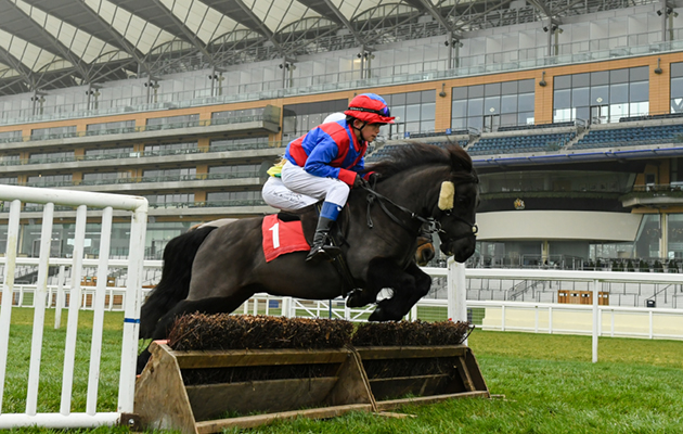 Shetland Pony Grand National_Olympia_18PN_477