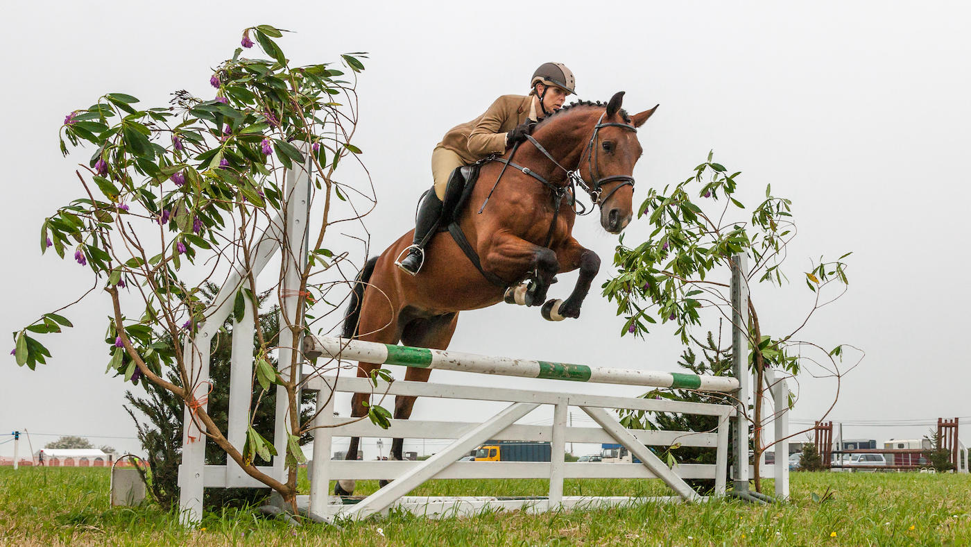 Showjumping at a country show