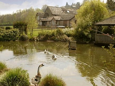 herefordshire-property-for-sale